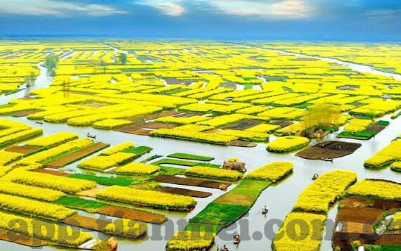 91麻豆久久国产视频-好看与独特，国产视频背后的文化视角