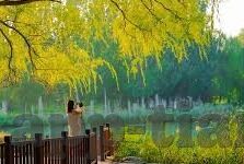 八哥电影伦理-八哥电影与伦理的交织，光影背后的道德考量