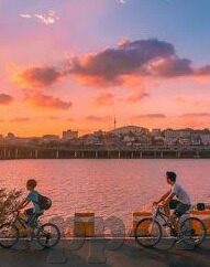 大象传媒合集-大象传媒合集，文化传播的巨象之力