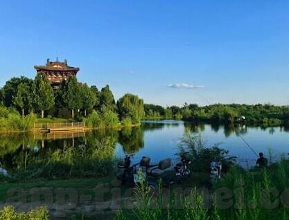 大象传媒视频app下载-探索大象传媒视频app，娱乐新视界，尽在指尖