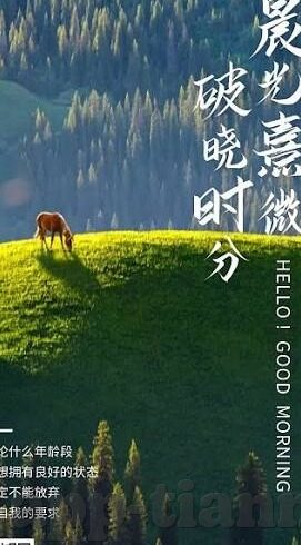 乱偷中文字幕在线视频-网络视频的边界与道德——对乱偷中文字幕在线视频现象的反思