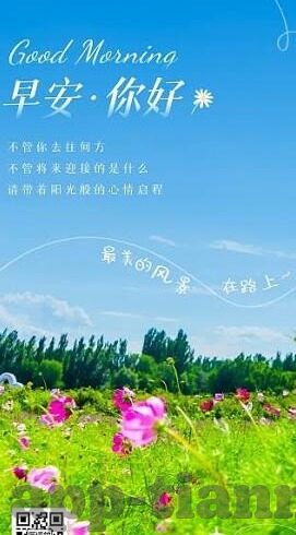 麻豆传媒经典-麻豆传媒经典，时代印记下的文化符号