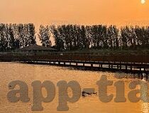 麻豆传媒下载app下载-