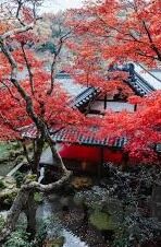 日韩av一区在线观看-日韩AV一区在线观看，成人娱乐的灰色地带与法律边界