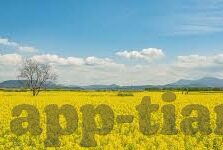 糖心app官网版下载-一心向探，甜美寻觅——糖心APP官网版下载深度体验探索