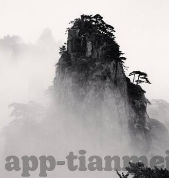糖心直播app下载最新版-揭秘糖心直播，直播新体验的魅力舞台