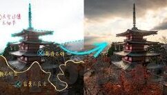 午夜福利福利一区二区-午夜福利，一区二区的神秘诱惑